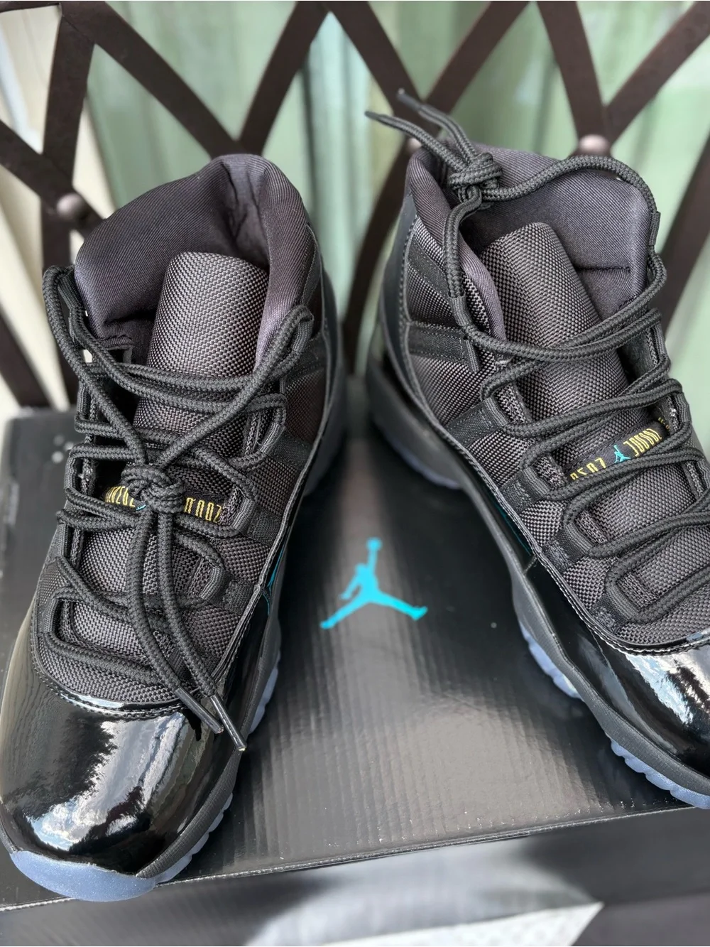 Jordan 11 “Gamma”